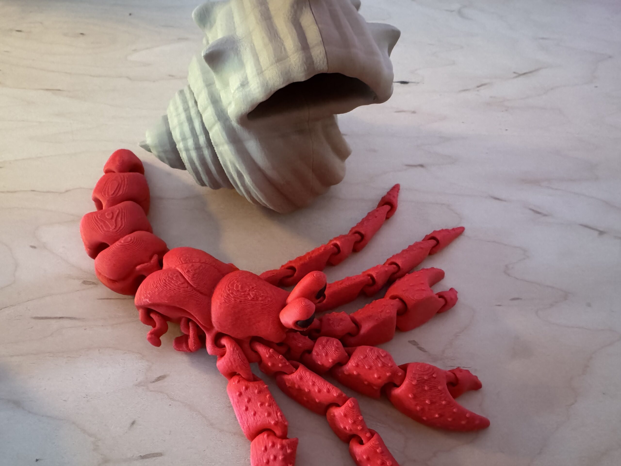 Hermit Crab Hermit Crab