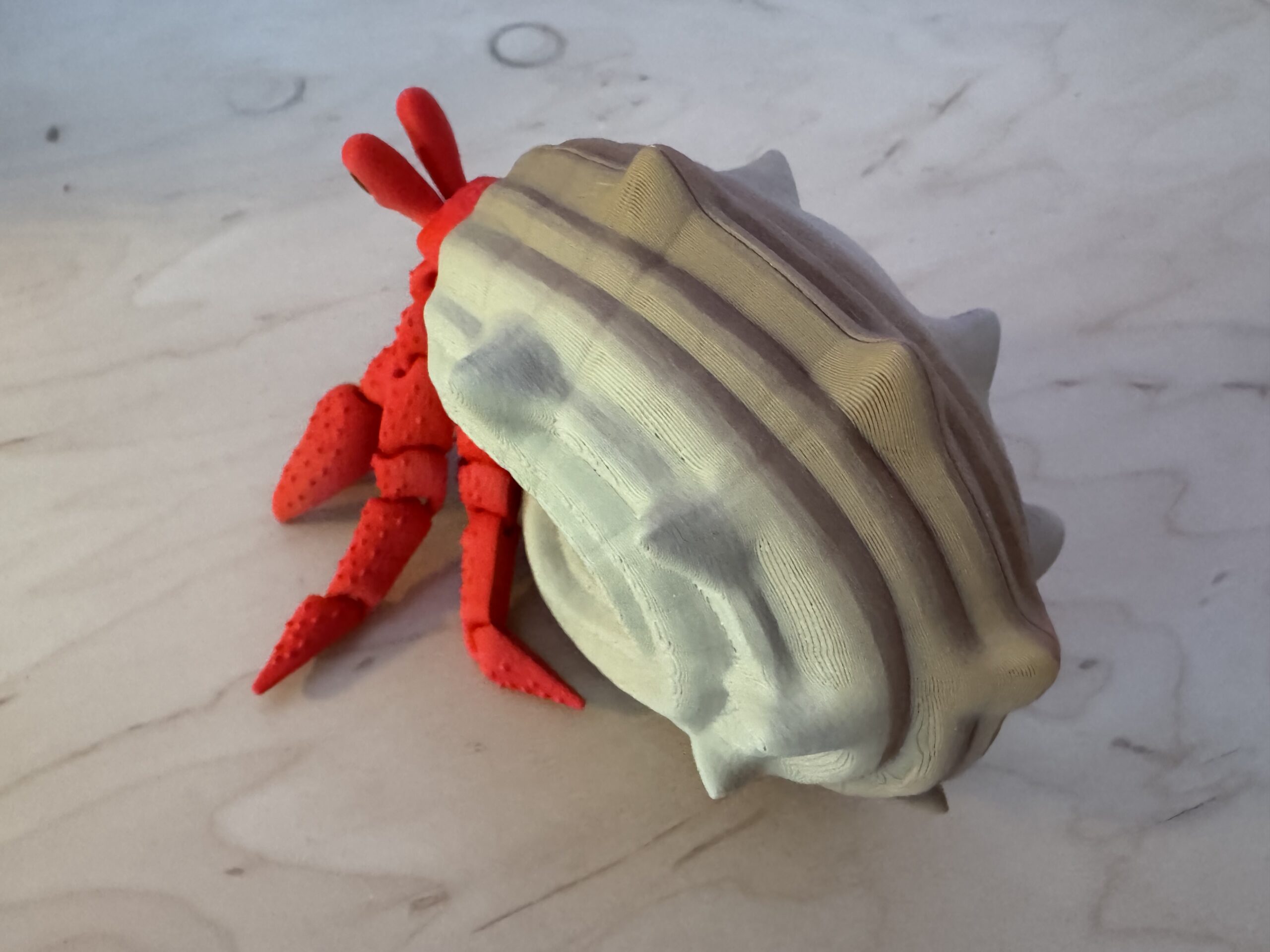 Hermit Crab Hermit Crab